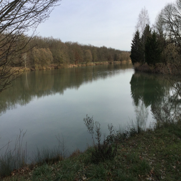 Offres de vente Autre Doncourt-aux-Templiers 55160