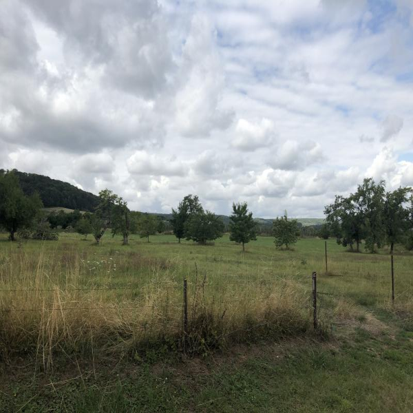 Offres de vente Terrain Watronville 55160