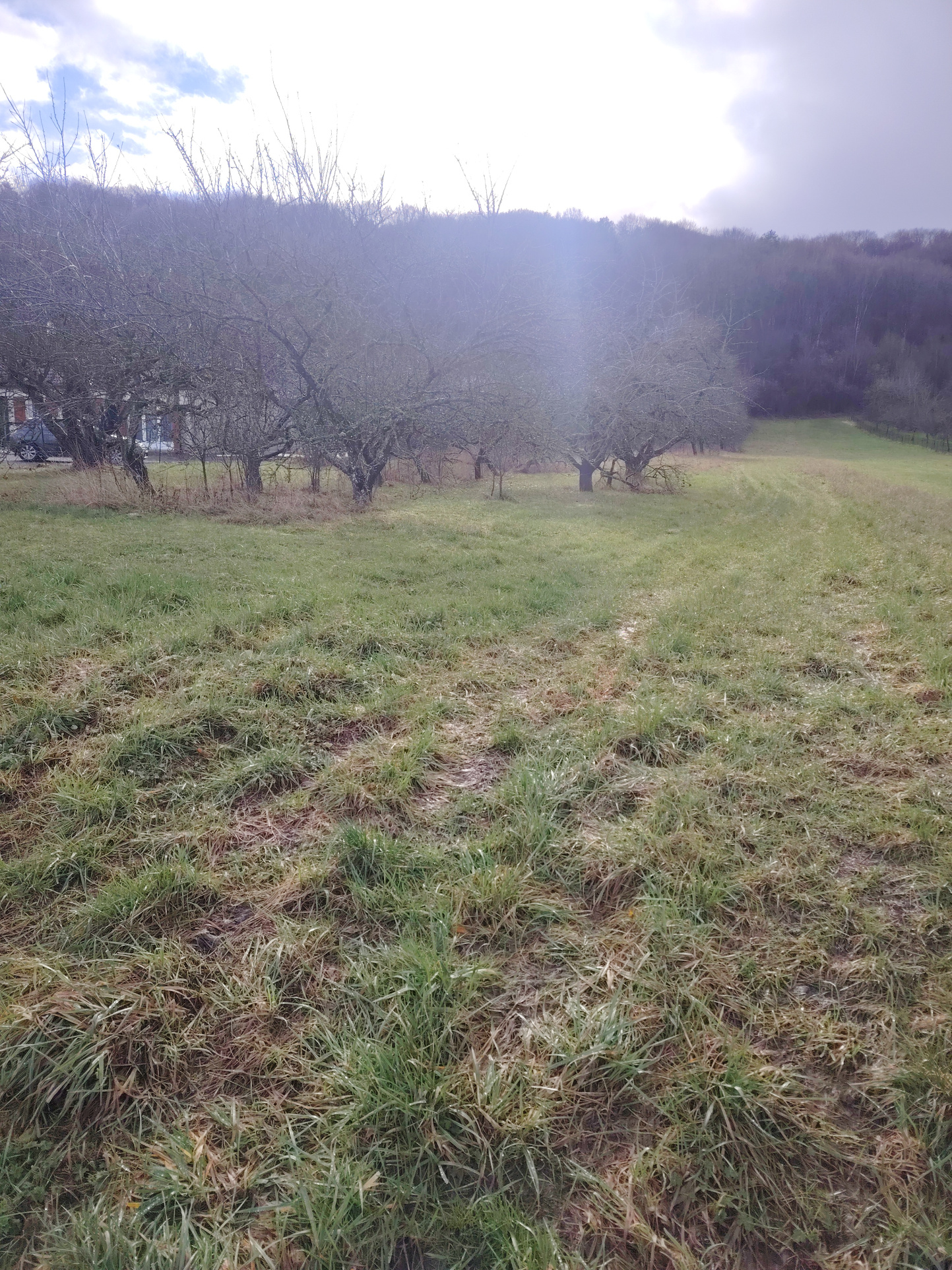 Agence immobilière de Immomad